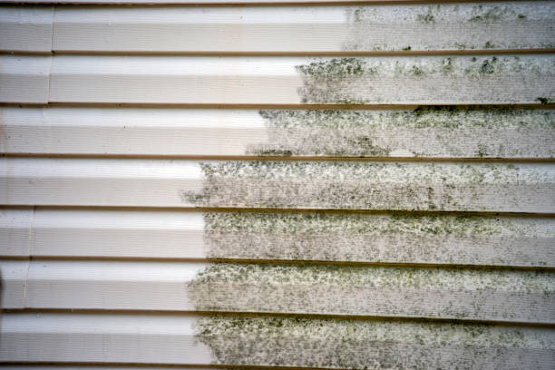 Affordable Siding Repair and Maintenance Services in Penryn, CA